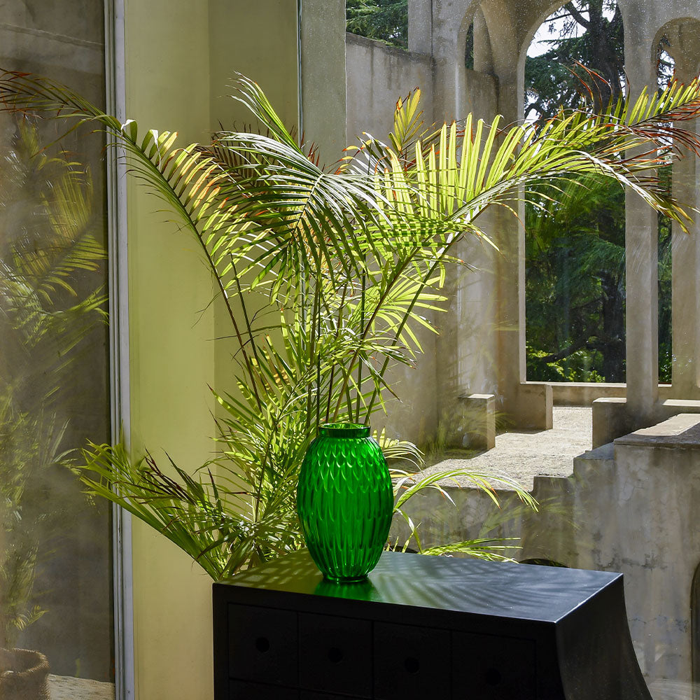 Vase Plumes