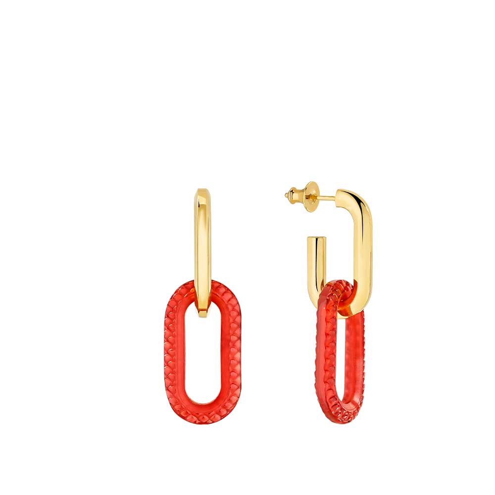 Boucles d'Oreilles Empreinte Animale