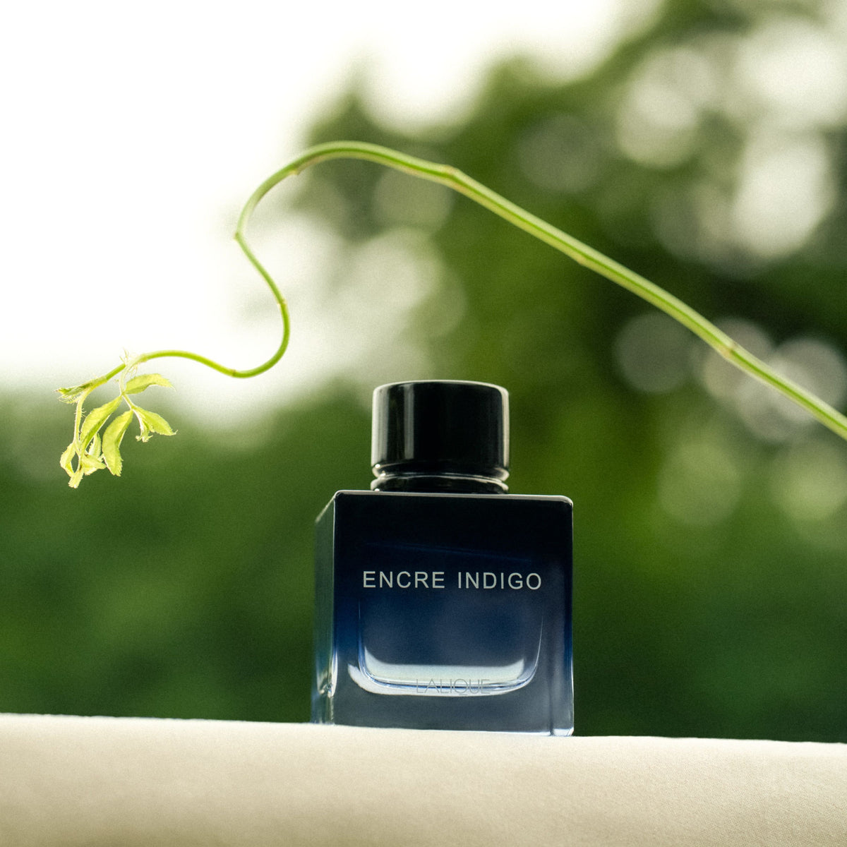 Encre Indigo, Gift Set