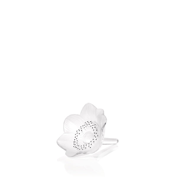 1161400-anemone-