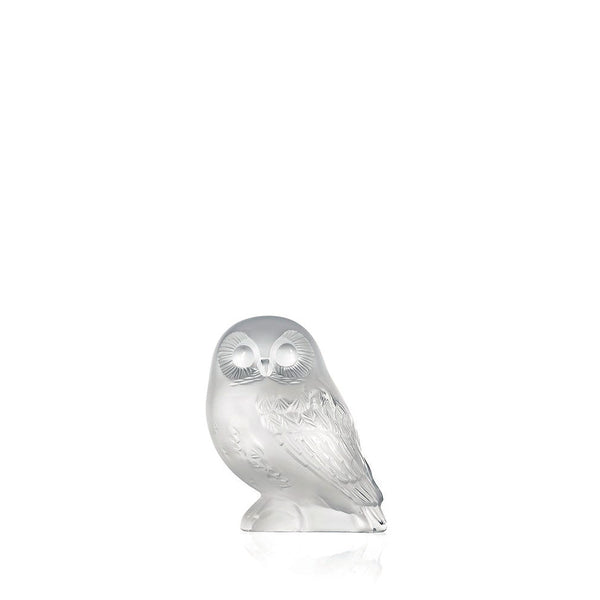 1402100-shivers-owl-