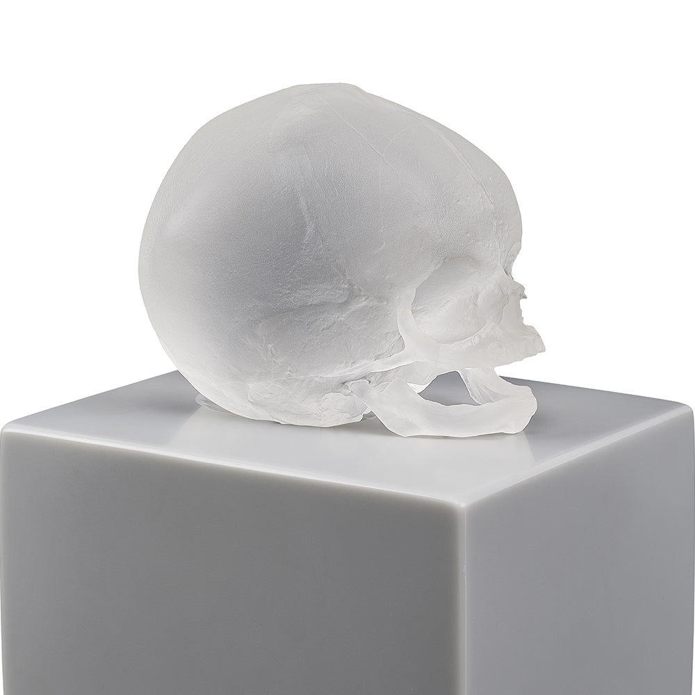 eternal Memory Damien Hirst & Lalique 2017