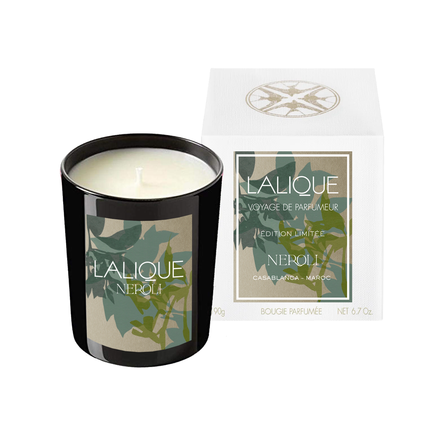 Néroli, Casablanca - Morocco, Scented Candle, 2025 Edition