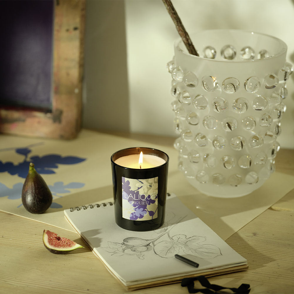 Fig Tree, Amalfi - Italy, Scented Candle, 2025 Edition
