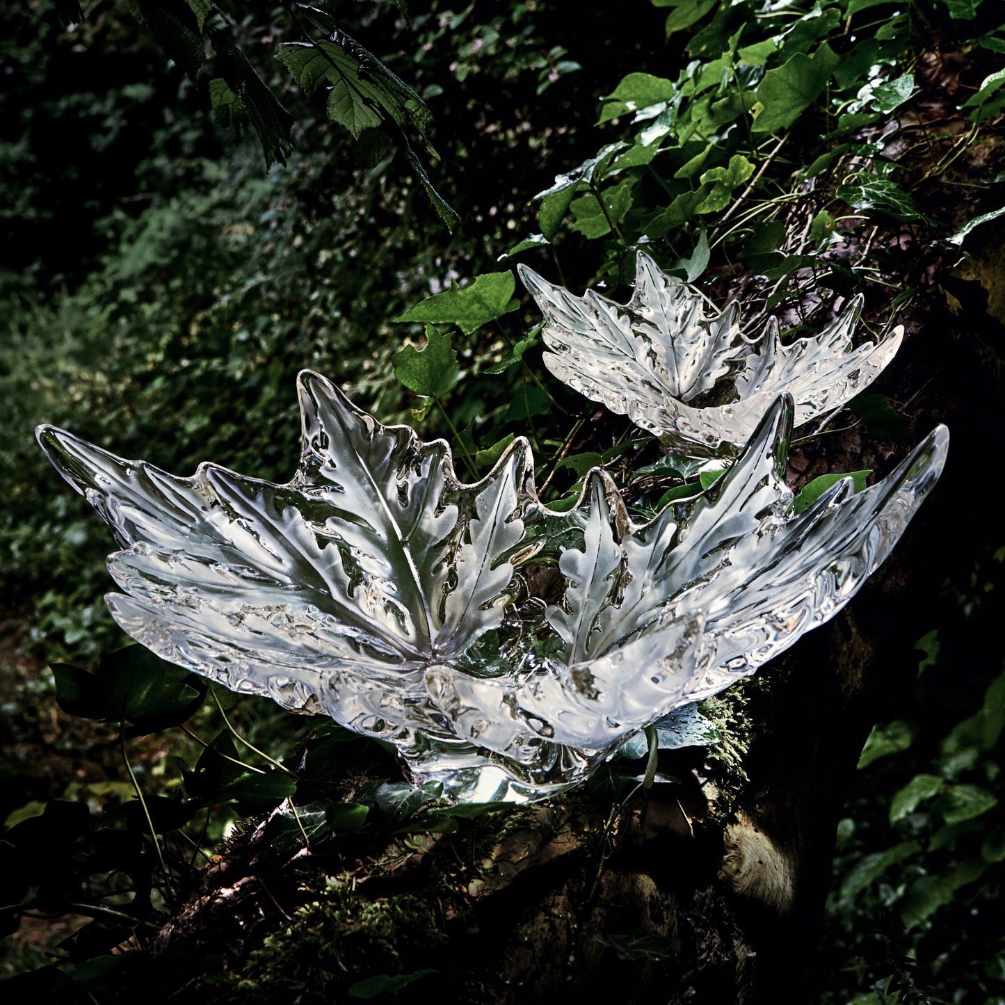 Iconic Champs-Élysées Bowl