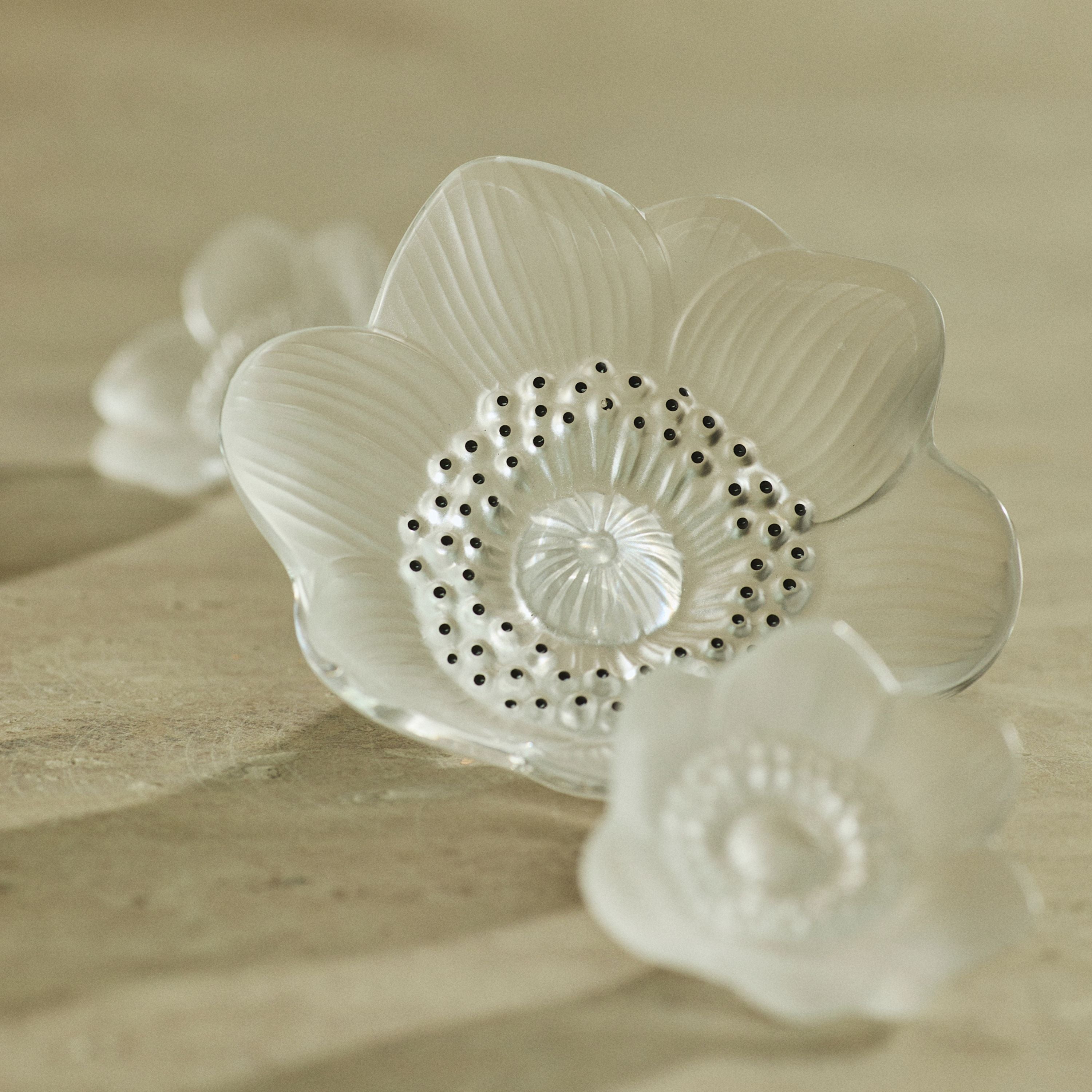 Anemone sculpture – Lalique Limited