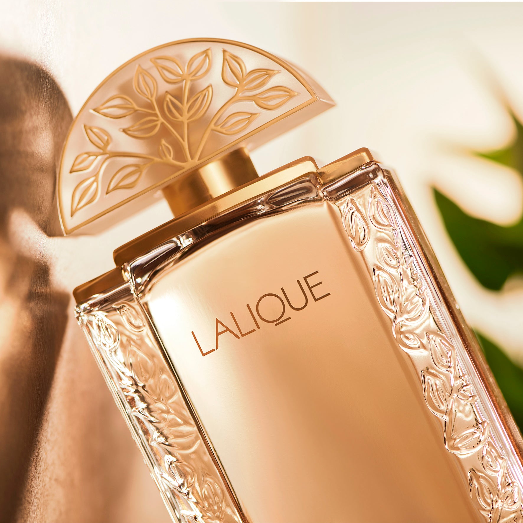 Lalique de Lalique, Eau de Parfum – Lalique Limited