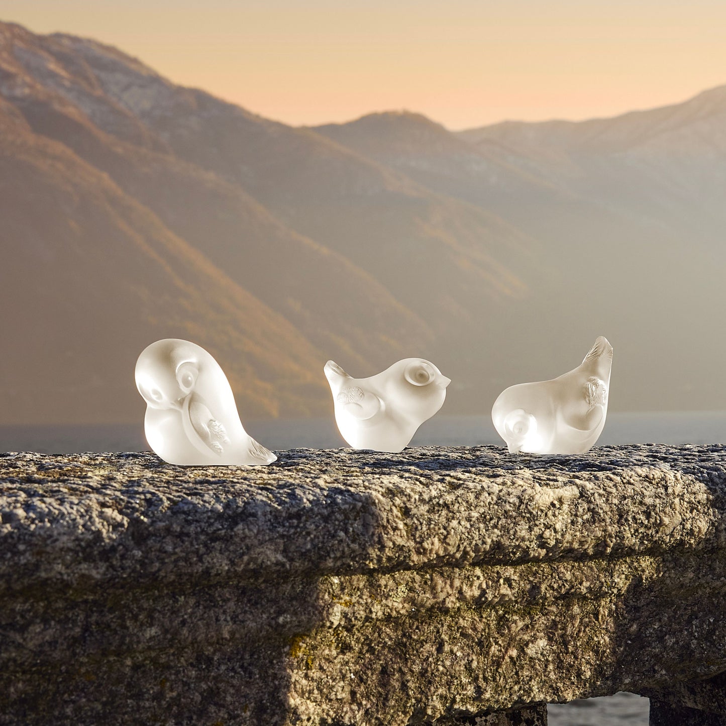 Piou-Piou head up Sculpture