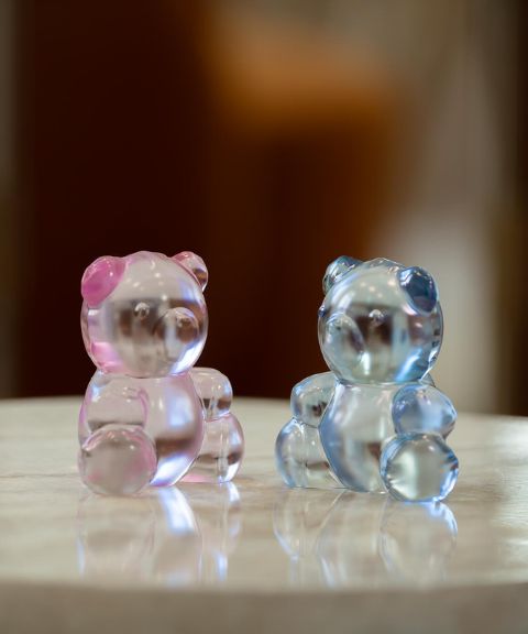 Teddy Air