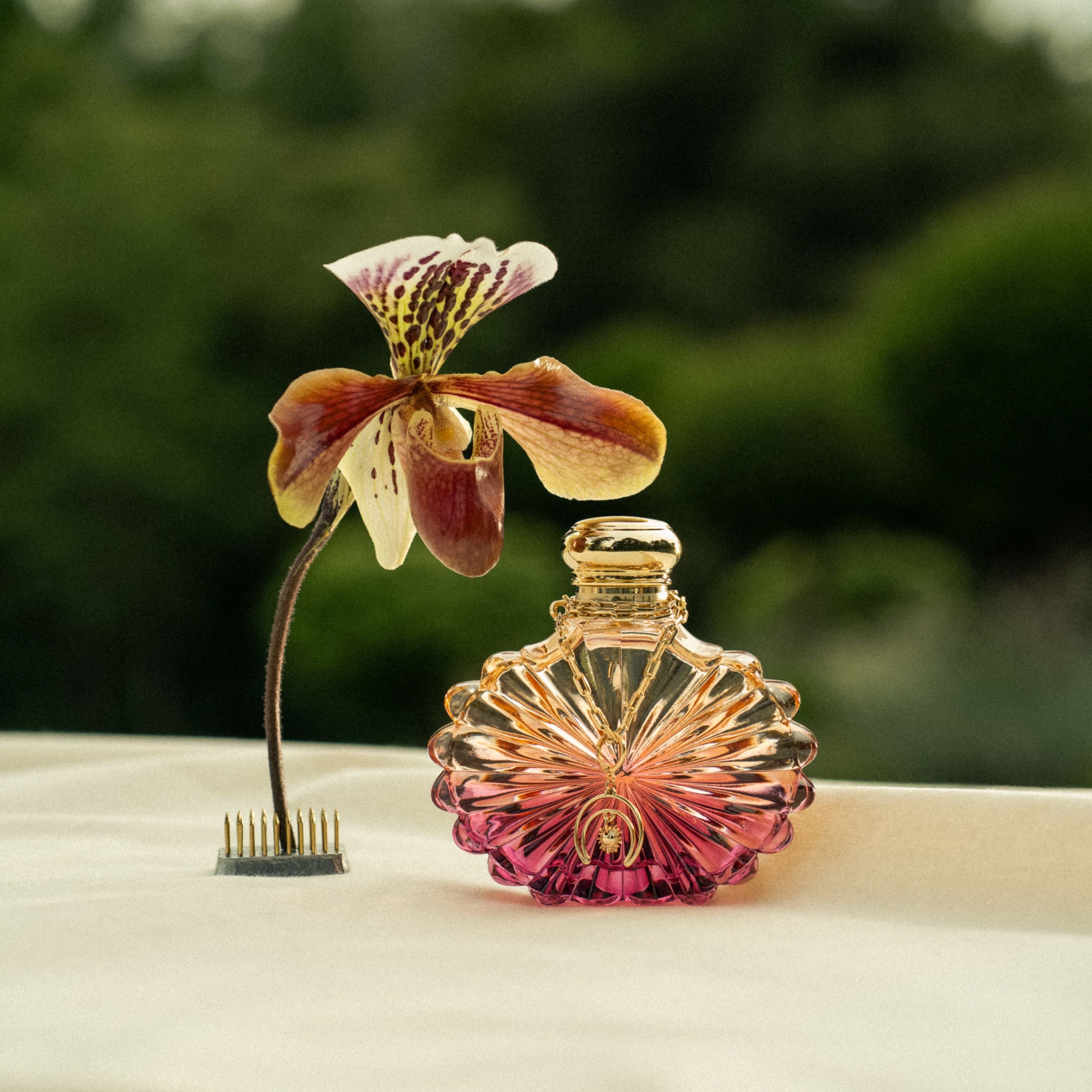 Soleil Lunar Lalique, Eau de Parfum – Lalique Limited