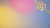 13397.mp4